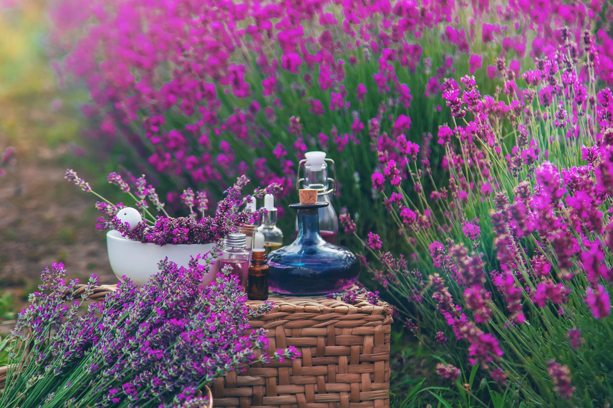 Botanical product styling with a premium clinical aesthetic